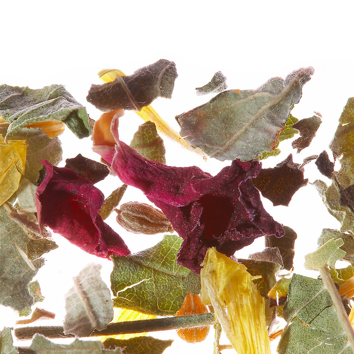 wellness-cup-kraeutertee-aromatisiert-loser-tee-althaustea-02.jpg